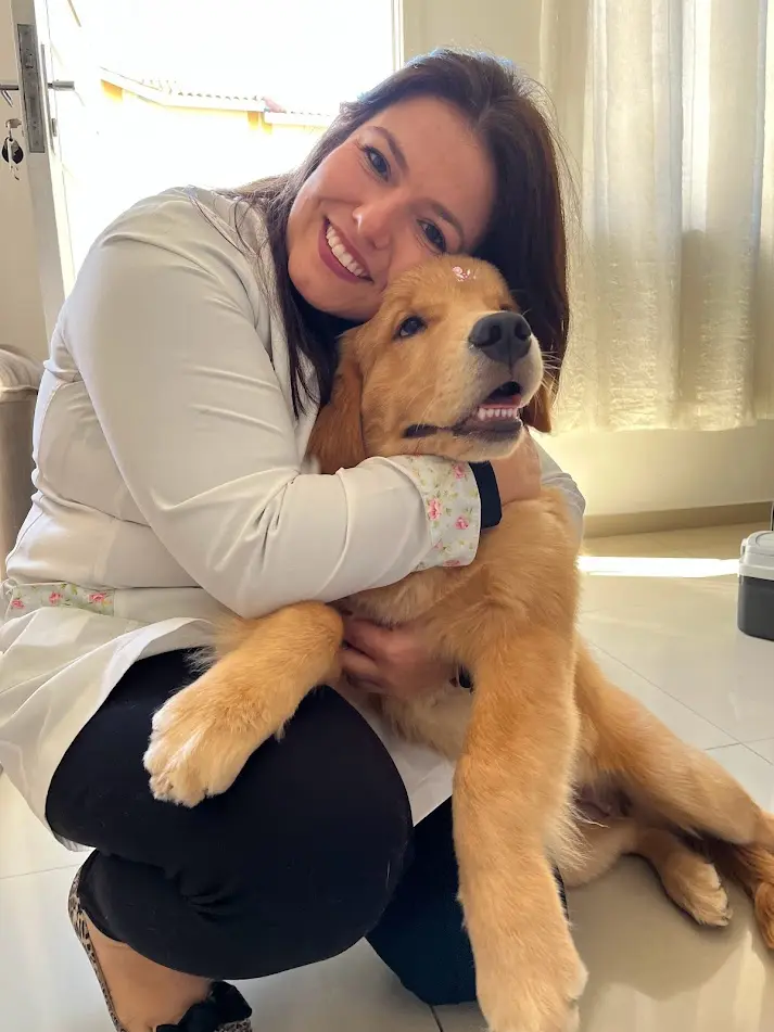 Cachorro filhote durante consulta em domicílio